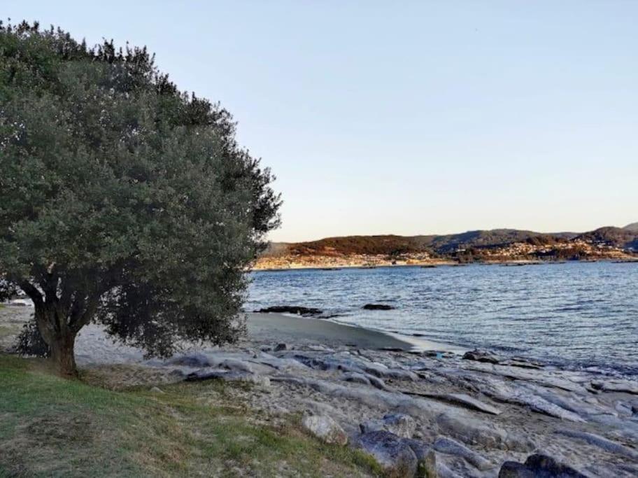Apartamento Con Jardin Y Piscina Temporada Verano Privados Samieira Kültér fotó