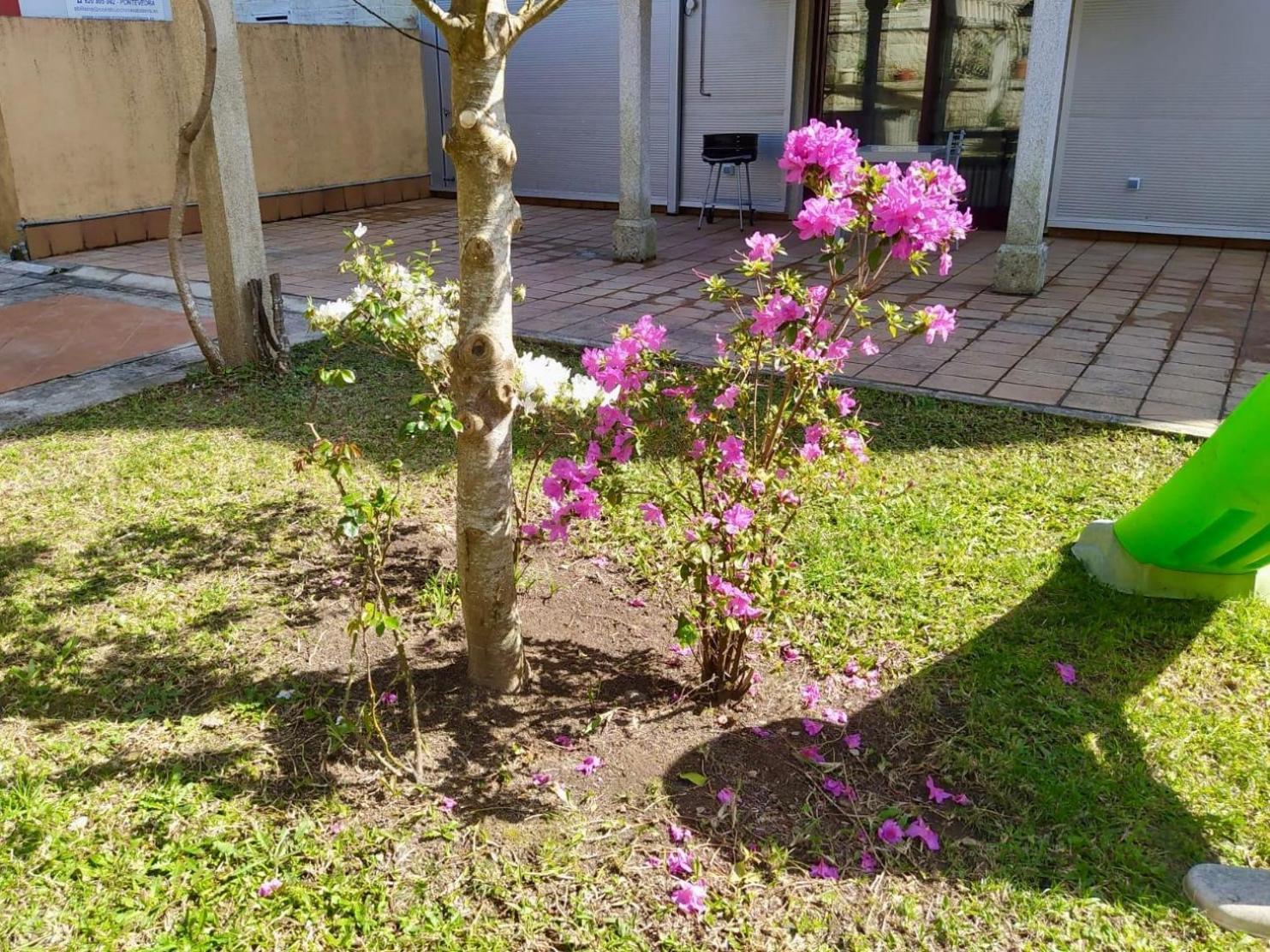 Apartamento Con Jardin Y Piscina Temporada Verano Privados Samieira Kültér fotó