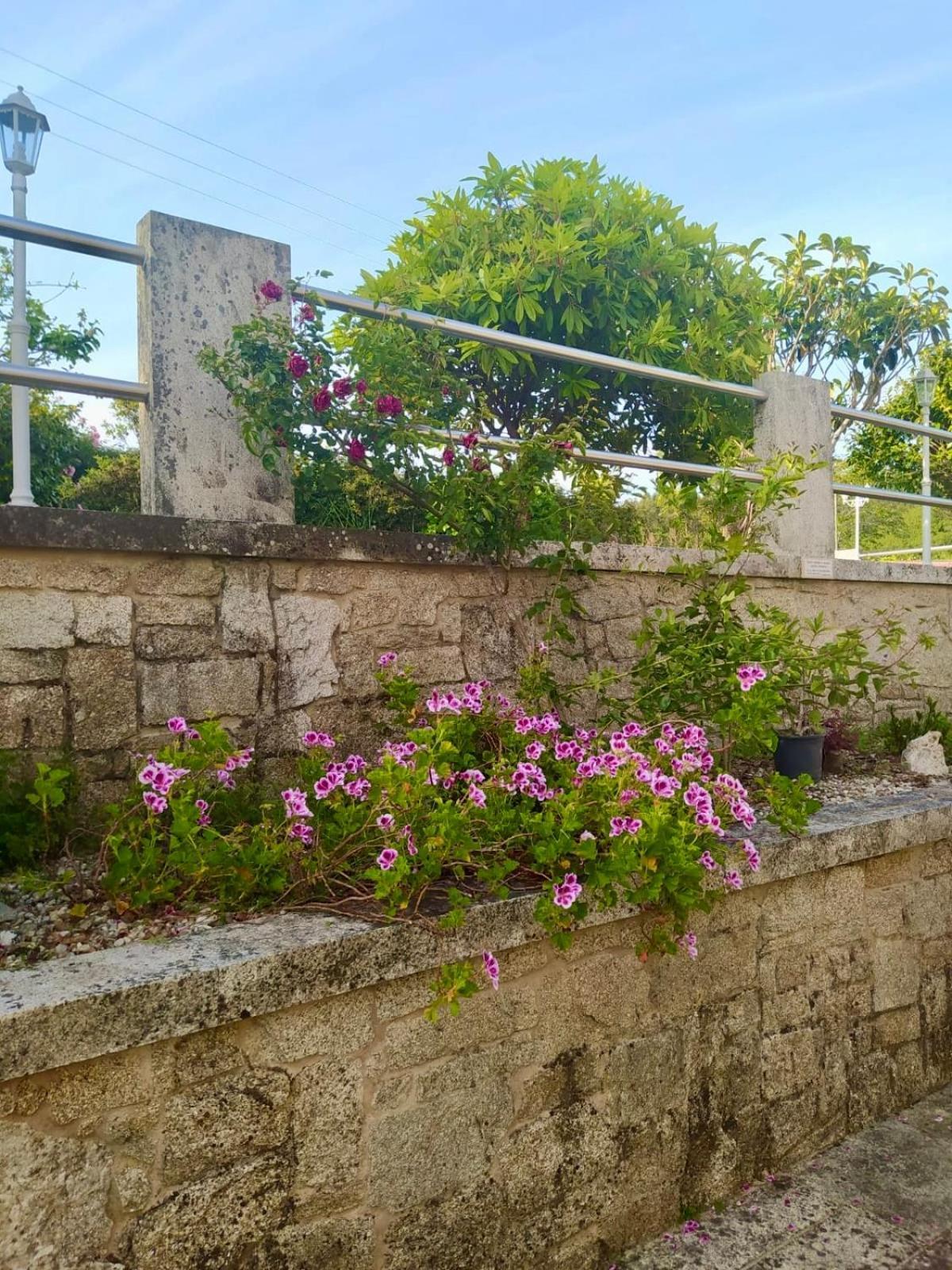 Apartamento Con Jardin Y Piscina Temporada Verano Privados Samieira Kültér fotó
